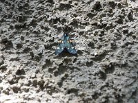 Raduno 4x4 27-07-2014 (258)